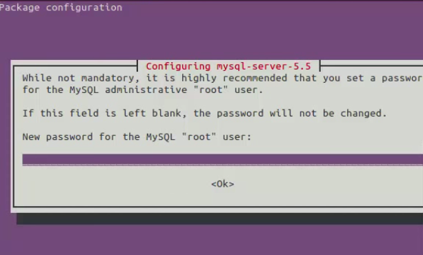 Root user password